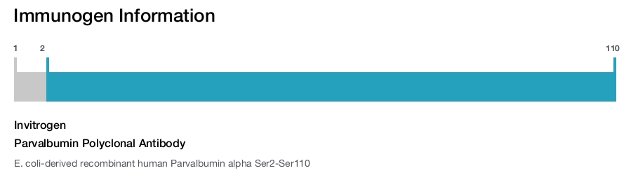 Parvalbumin Polyclonal Antibody