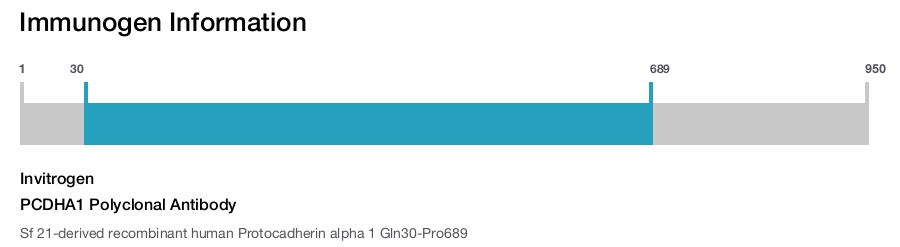 PCDHA1 Polyclonal Antibody