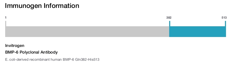 BMP-6 Polyclonal Antibody