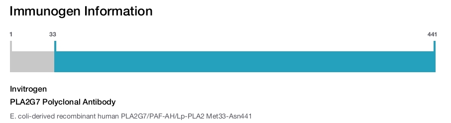 PLA2G7 Polyclonal Antibody