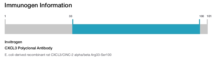 CXCL3 Polyclonal Antibody