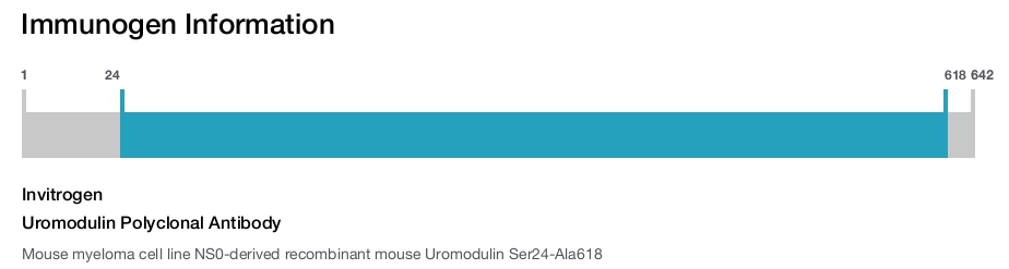 Uromodulin Polyclonal Antibody