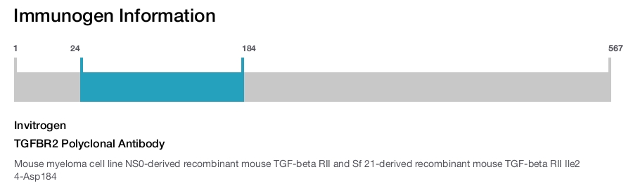 TGFBR2 Polyclonal Antibody