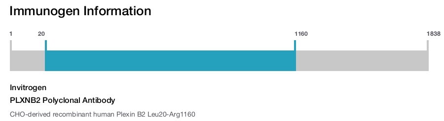 PLXNB2 Polyclonal Antibody