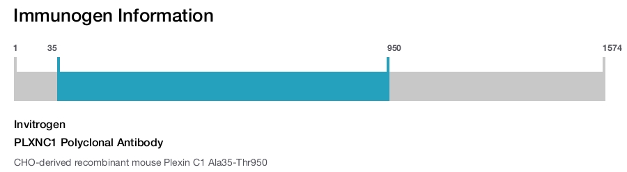 PLXNC1 Polyclonal Antibody