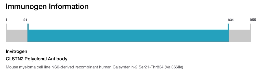 CLSTN2 Polyclonal Antibody