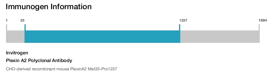 Plexin A2 Polyclonal Antibody