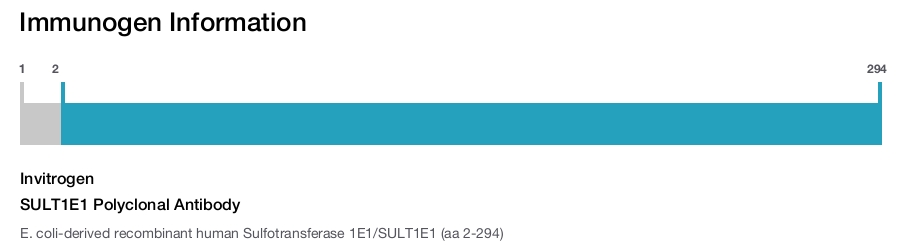 SULT1E1 Polyclonal Antibody