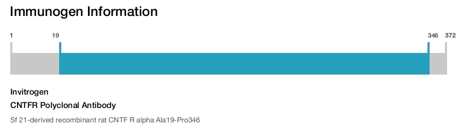 CNTFR Polyclonal Antibody