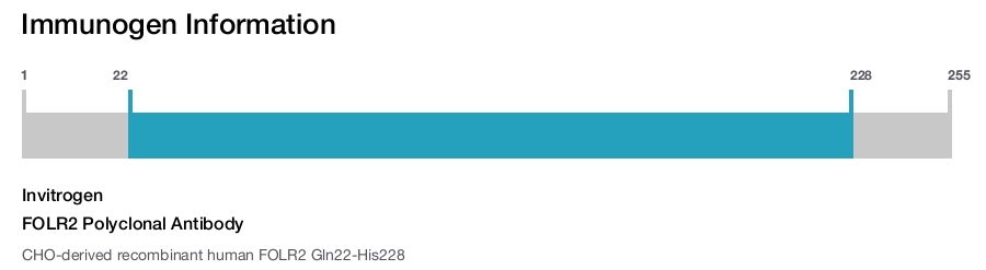 FOLR2 Polyclonal Antibody