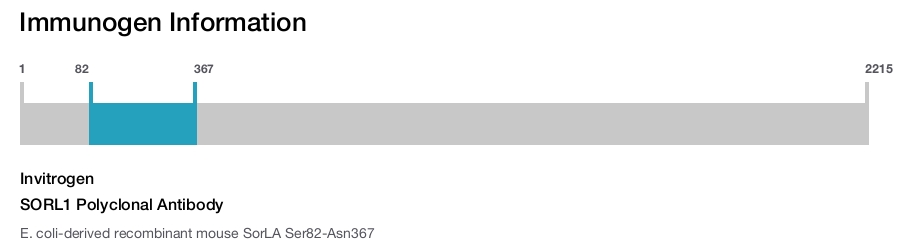 SORL1 Polyclonal Antibody
