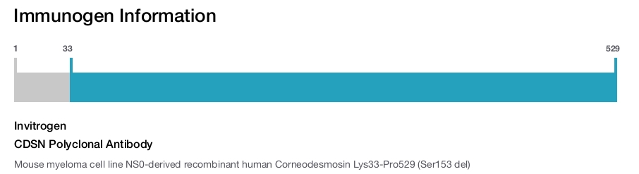 CDSN Polyclonal Antibody