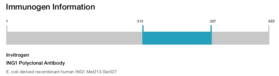 ING1 Polyclonal Antibody