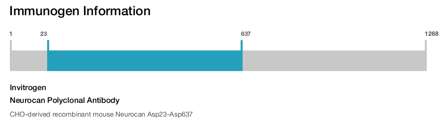Neurocan Polyclonal Antibody