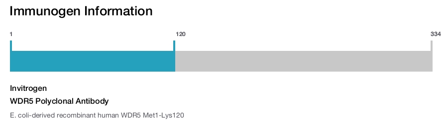 WDR5 Polyclonal Antibody