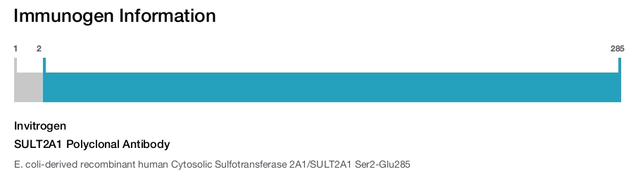 SULT2A1 Polyclonal Antibody