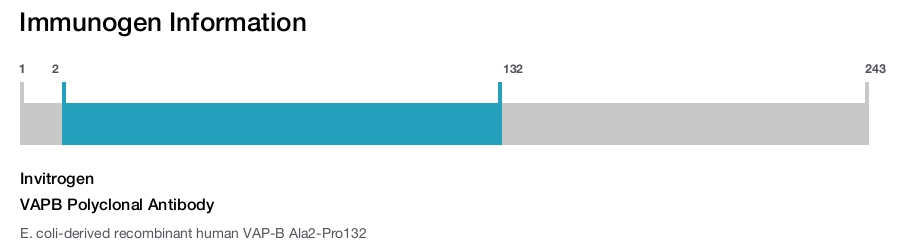 VAPB Polyclonal Antibody