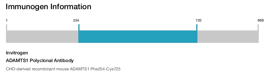 ADAMTS1 Polyclonal Antibody