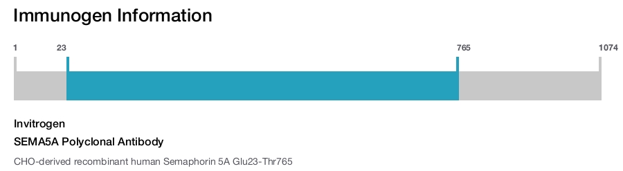 SEMA5A Polyclonal Antibody