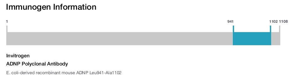 ADNP Polyclonal Antibody