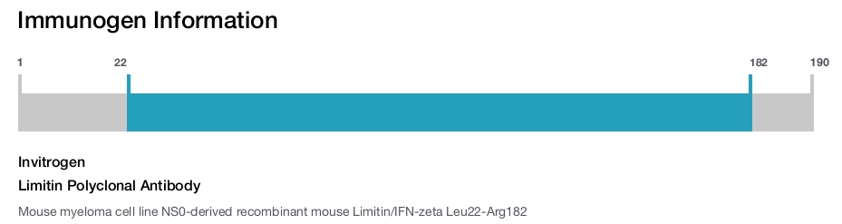 Limitin Polyclonal Antibody