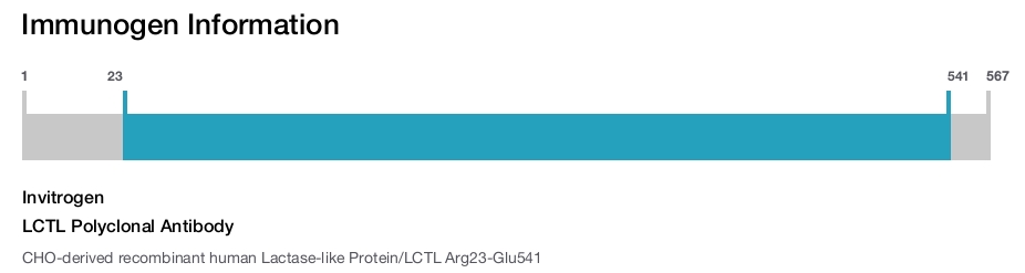LCTL Polyclonal Antibody
