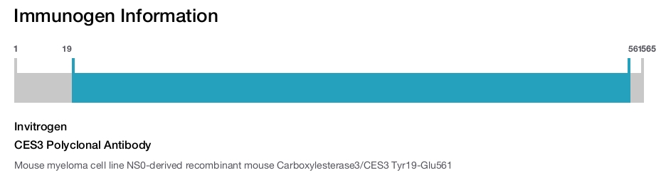 CES3 Polyclonal Antibody