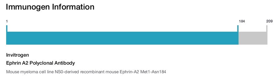Ephrin A2 Polyclonal Antibody