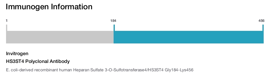 HS3ST4 Polyclonal Antibody