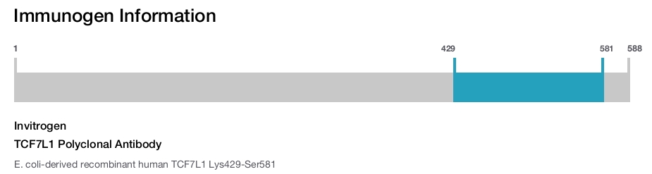 TCF7L1 Polyclonal Antibody