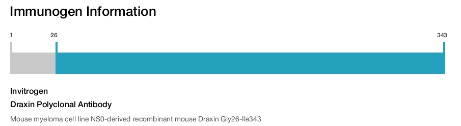 Draxin Polyclonal Antibody