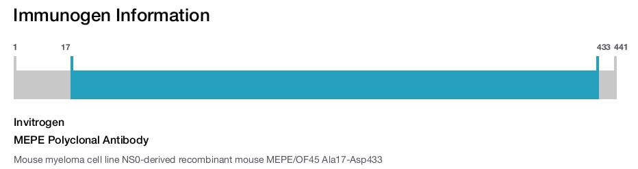 MEPE Polyclonal Antibody