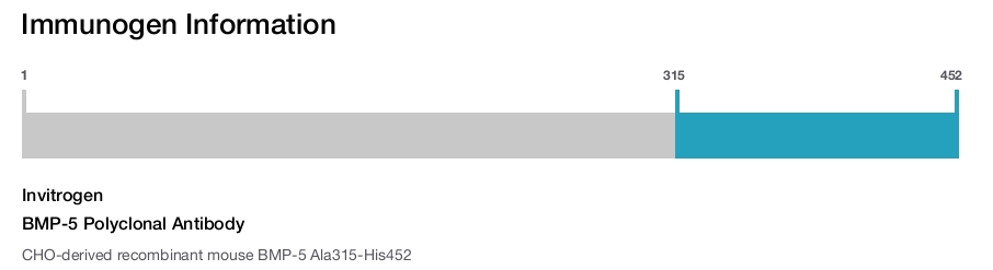 BMP-5 Polyclonal Antibody