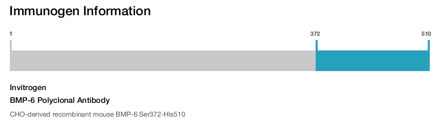 BMP-6 Polyclonal Antibody