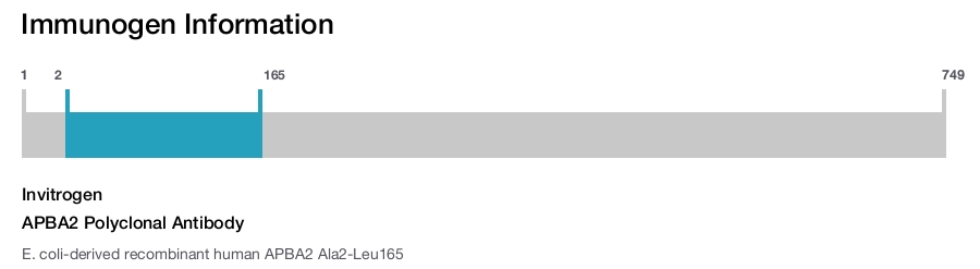 APBA2 Polyclonal Antibody