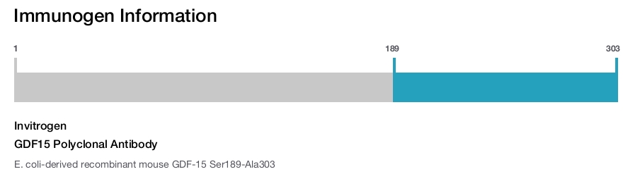 GDF15 Polyclonal Antibody