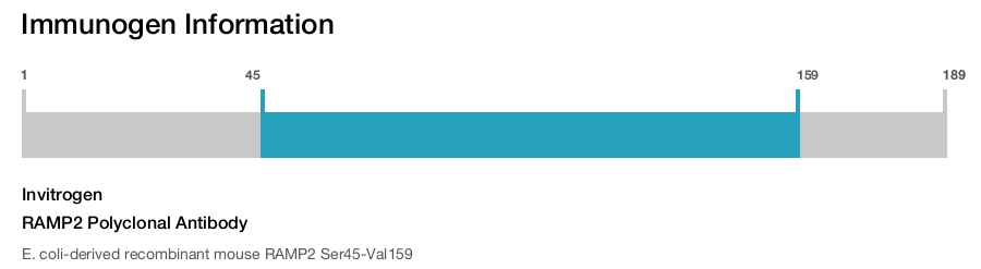 RAMP2 Polyclonal Antibody