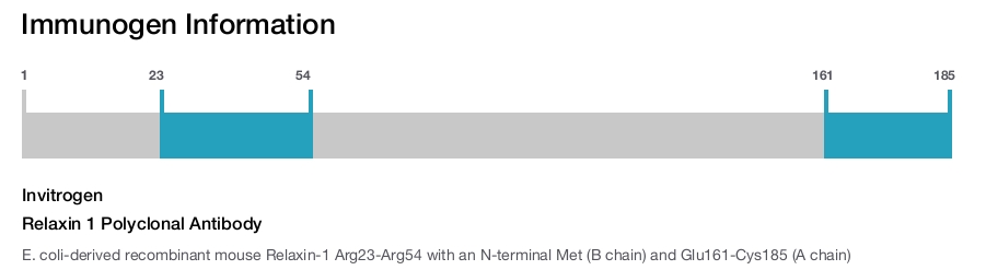 Relaxin 1 Polyclonal Antibody