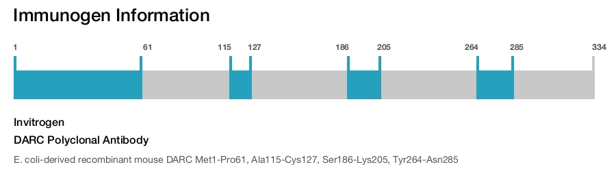 DARC Polyclonal Antibody