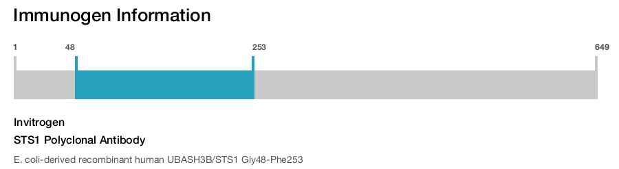 STS1 Polyclonal Antibody