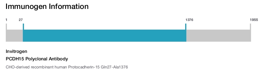 PCDH15 Polyclonal Antibody
