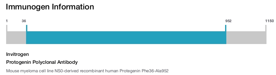 Protogenin Polyclonal Antibody