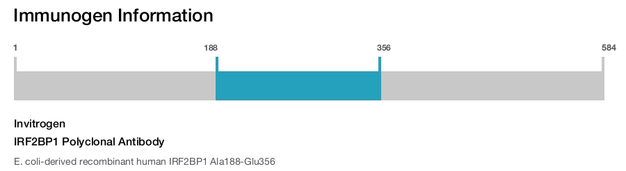 IRF2BP1 Polyclonal Antibody