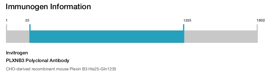 PLXNB3 Polyclonal Antibody
