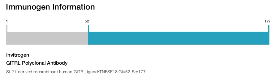 GITRL Polyclonal Antibody
