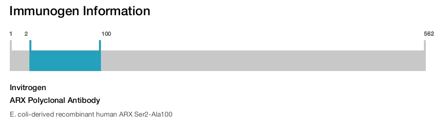 ARX Polyclonal Antibody