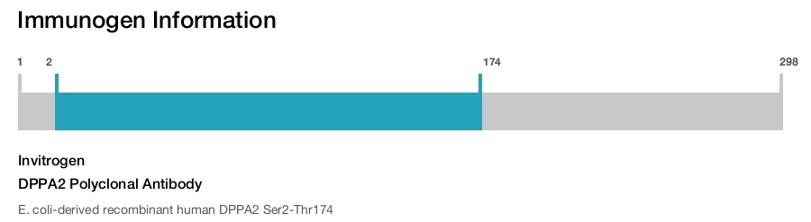 DPPA2 Polyclonal Antibody