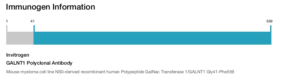 GALNT1 Polyclonal Antibody