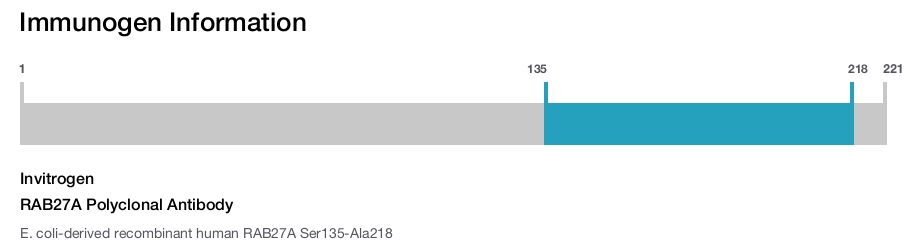 RAB27A Polyclonal Antibody