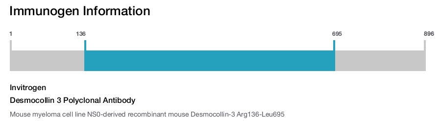 Desmocollin 3 Polyclonal Antibody
